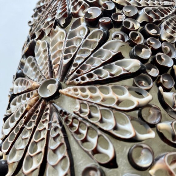 Unique Auger Sea Shell Lamp, 24” High, Only $59 for this beauty! - Picture 7 of 8